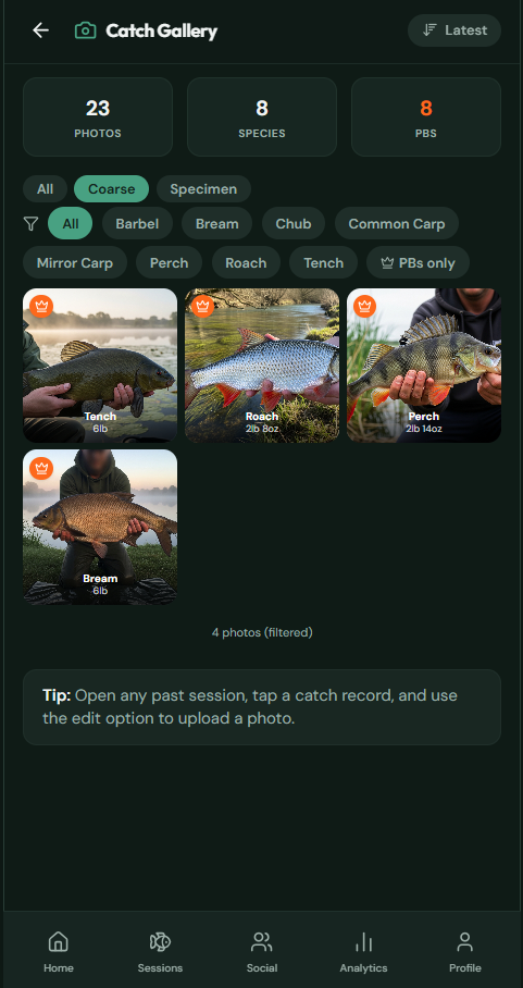 Catch Gallery