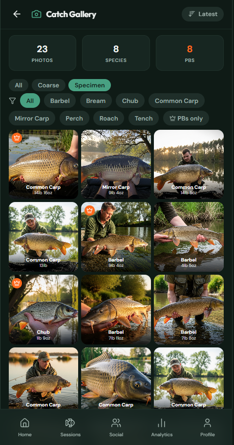 Catch Gallery